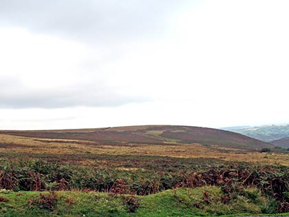 The moors